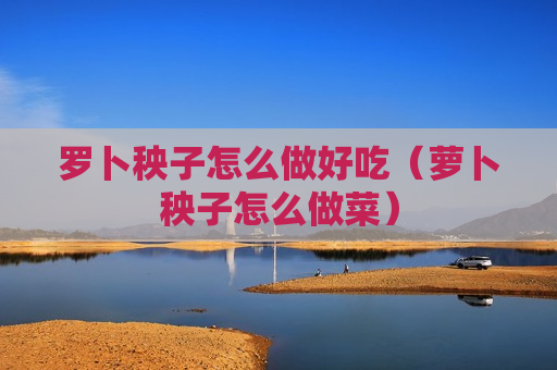 罗卜秧子怎么做好吃（萝卜秧子怎么做菜）