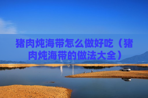 猪肉炖海带怎么做好吃（猪肉炖海带的做法大全）
