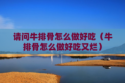 请问牛排骨怎么做好吃（牛排骨怎么做好吃又烂）