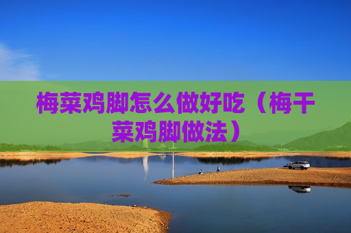 梅菜鸡脚怎么做好吃（梅干菜鸡脚做法）