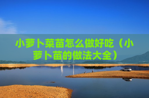 小萝卜菜苗怎么做好吃（小萝卜苗的做法大全）
