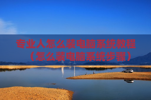 专业人怎么装电脑系统教程（怎么装电脑系统步骤）