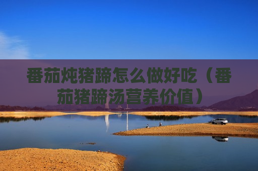 番茄炖猪蹄怎么做好吃（番茄猪蹄汤营养价值）