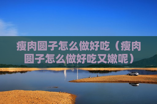 瘦肉圆子怎么做好吃（瘦肉圆子怎么做好吃又嫩呢）