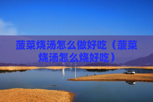 菠菜烧汤怎么做好吃（菠菜烧汤怎么烧好吃）