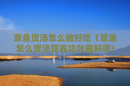 草鱼煲汤怎么做好吃（草鱼怎么煲汤营养功效最好呢?）