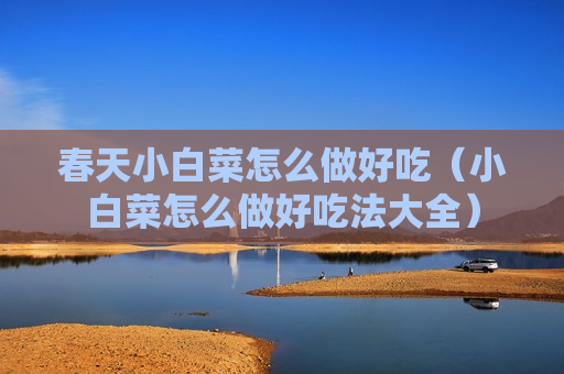 春天小白菜怎么做好吃（小白菜怎么做好吃法大全）