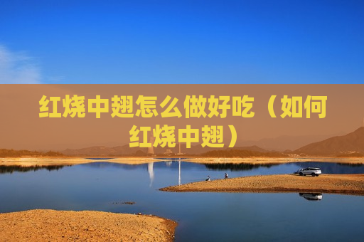 红烧中翅怎么做好吃（如何红烧中翅）