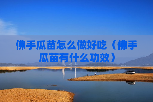 佛手瓜苗怎么做好吃（佛手瓜苗有什么功效）