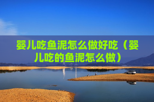 婴儿吃鱼泥怎么做好吃（婴儿吃的鱼泥怎么做）