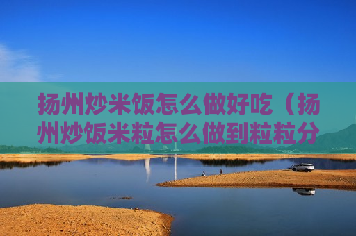 扬州炒米饭怎么做好吃（扬州炒饭米粒怎么做到粒粒分明）
