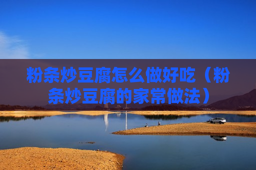 粉条炒豆腐怎么做好吃（粉条炒豆腐的家常做法）