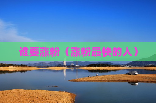 谁要涨粉（涨粉最快的人）