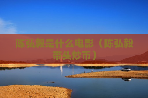 陈弘毅是什么电影（陈弘毅带头炒币）