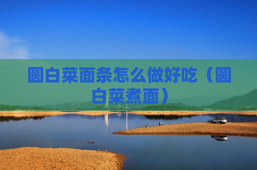 圆白菜面条怎么做好吃（圆白菜煮面）