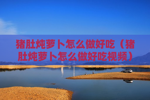 猪肚炖萝卜怎么做好吃（猪肚炖萝卜怎么做好吃视频）