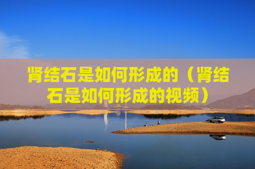 肾结石是如何形成的（肾结石是如何形成的视频）