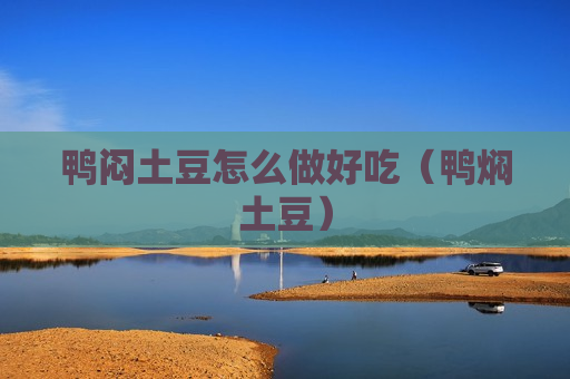 鸭闷土豆怎么做好吃（鸭焖土豆）