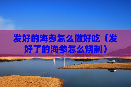 发好的海参怎么做好吃（发好了的海参怎么烧制）