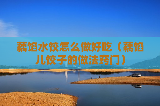 藕馅水饺怎么做好吃（藕馅儿饺子的做法窍门）