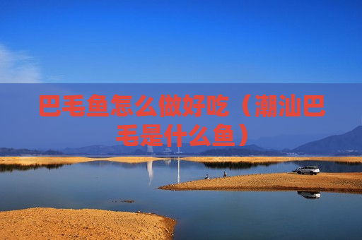 巴毛鱼怎么做好吃（潮汕巴毛是什么鱼）