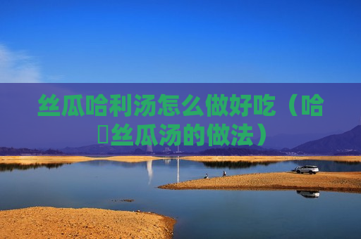 丝瓜哈利汤怎么做好吃（哈唎丝瓜汤的做法）