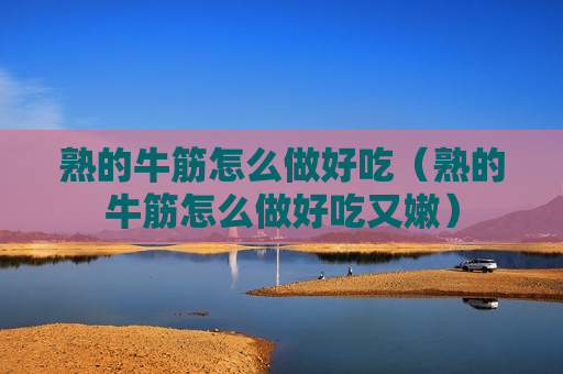 熟的牛筋怎么做好吃（熟的牛筋怎么做好吃又嫩）