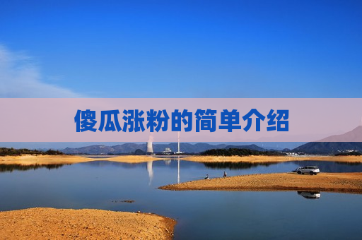 傻瓜涨粉的简单介绍