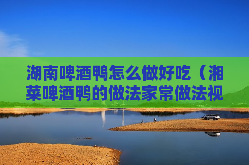 湖南啤酒鸭怎么做好吃（湘菜啤酒鸭的做法家常做法视频）