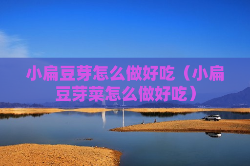 小扁豆芽怎么做好吃（小扁豆芽菜怎么做好吃）