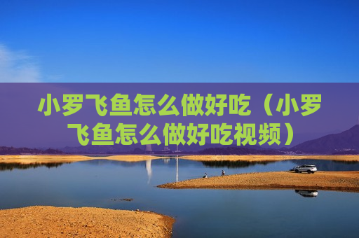 小罗飞鱼怎么做好吃（小罗飞鱼怎么做好吃视频）