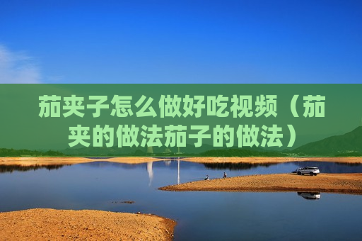 茄夹子怎么做好吃视频（茄夹的做法茄子的做法）