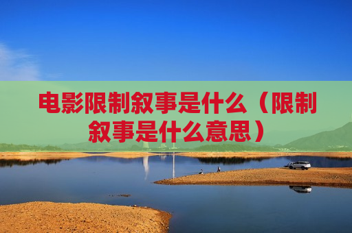 电影限制叙事是什么（限制叙事是什么意思）