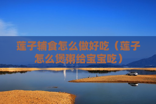 莲子辅食怎么做好吃（莲子怎么煲粥给宝宝吃）
