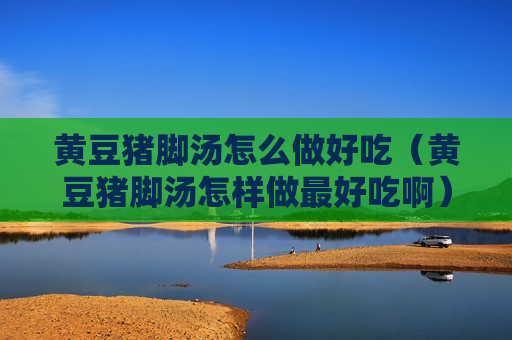 黄豆猪脚汤怎么做好吃（黄豆猪脚汤怎样做最好吃啊）
