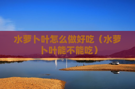 水萝卜叶怎么做好吃（水萝卜叶能不能吃）
