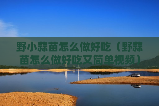 野小蒜苗怎么做好吃（野蒜苗怎么做好吃又简单视频）