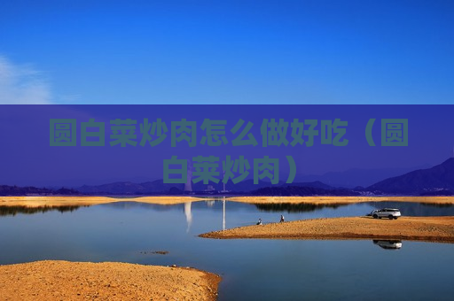 圆白菜炒肉怎么做好吃（圆白莱炒肉）