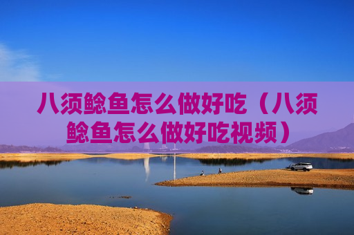 八须鲶鱼怎么做好吃（八须鲶鱼怎么做好吃视频）