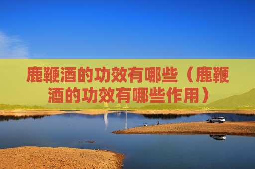 鹿鞭酒的功效有哪些（鹿鞭酒的功效有哪些作用）