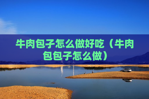牛肉包孑怎么做好吃（牛肉包包子怎么做）