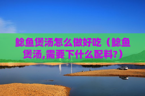 鲶鱼煲汤怎么做好吃（鲶鱼煲汤,需要下什么配料?）