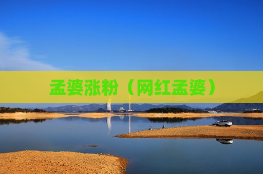 孟婆涨粉（网红孟婆）