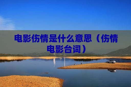 电影伤情是什么意思（伤情电影台词）