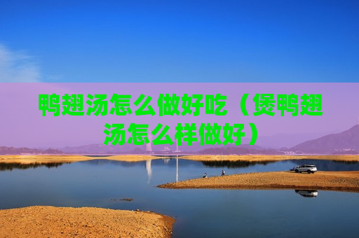 鸭翅汤怎么做好吃（煲鸭翅汤怎么样做好）