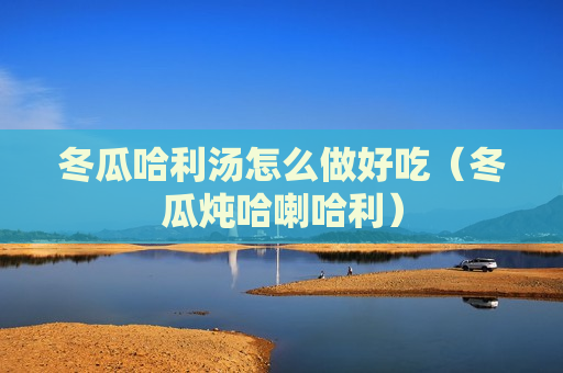 冬瓜哈利汤怎么做好吃（冬瓜炖哈喇哈利）