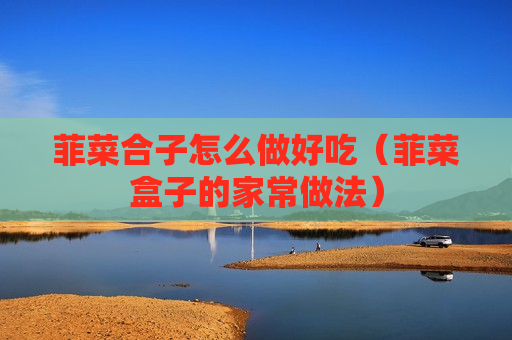 菲菜合子怎么做好吃（菲菜盒子的家常做法）