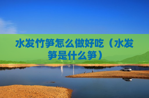 水发竹笋怎么做好吃（水发笋是什么笋）