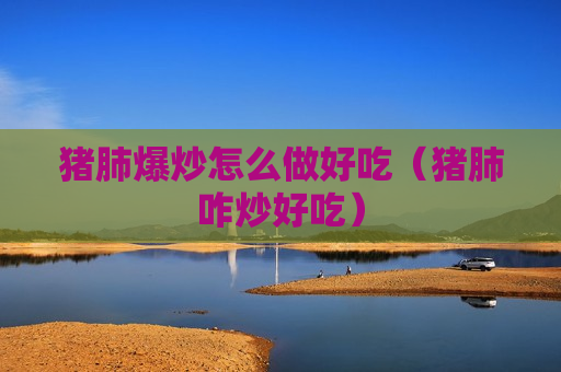 猪肺爆炒怎么做好吃（猪肺咋炒好吃）