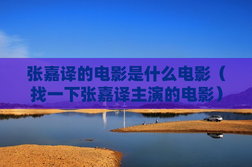张嘉译的电影是什么电影（找一下张嘉译主演的电影）